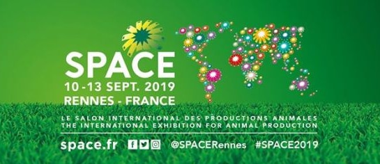 space rennes 2019