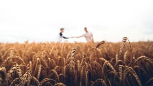 homme champs agriculture