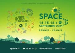 Space de rennes 2021